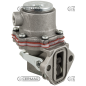 COMPATIBLE NAPHTA FEED PUMP FOR LOMBARDINI - 12428
