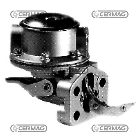 Pompe à essence COMPATIBLE - 12469 | NewgardenAgri.com