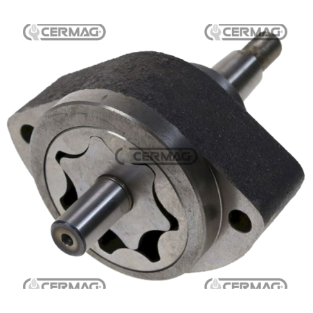 Pompe à huile moteur COMPATIBLE - 004415246C | NewgardenAgri.com