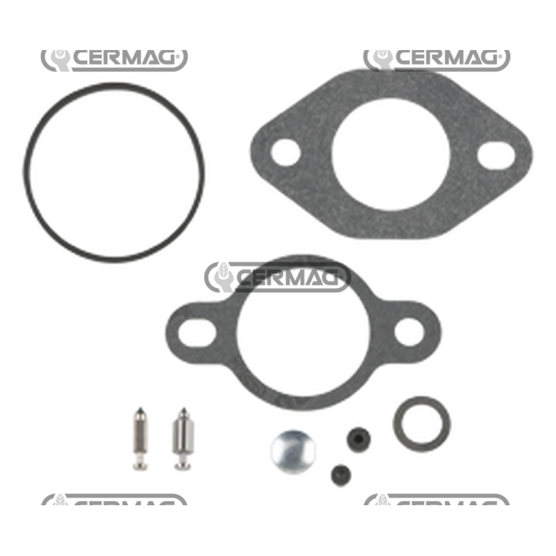 KIT REPAIR CARB (PUMP FEED)(WALBRO) COMPATIBILE - K1275703