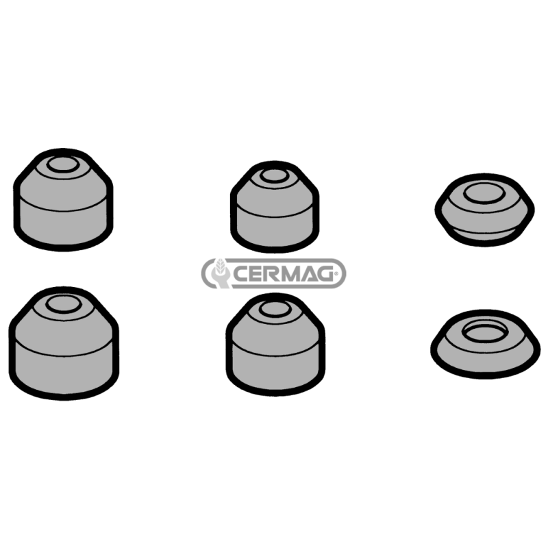CAPPELLOTTI VALVE FOR LOMBARDINI ENGINES COMPATIBLE - 10119