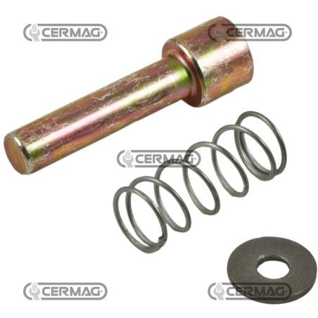Pulsador completo tipo Walterscheid nuevo COMPATIBLE - 30399 | NewgardenAgri.com