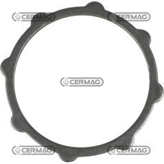 Bague d'étanchéité COMPATIBLE - 31977 | NewgardenAgri.com