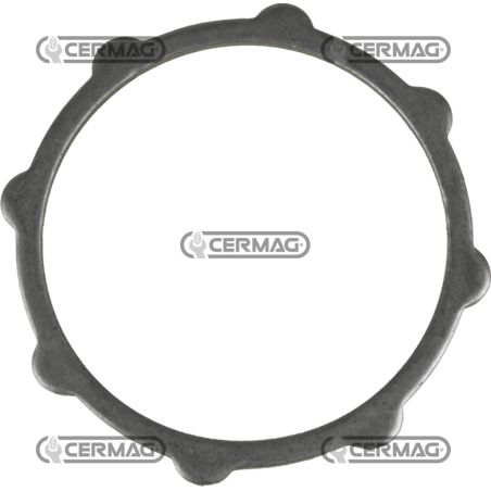 Bague d'étanchéité COMPATIBLE - 31977 | NewgardenAgri.com
