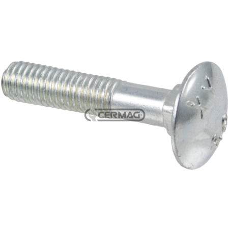 Round head screw with white galvanized square head Thread M8x22x50 mm COMPATIBLE - 64730 | NewgardenAgri.com