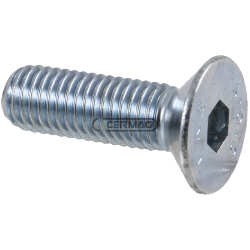 Countersunk head screw with white galvanized hex socket Thread M6x1x10 mm COMPATIBLE - 64743