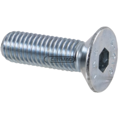 Vite a testa svasata con cava esagonale zincato bianco Filetto M12x1.75x100 mm COMPATIBILE - 65068 | NewgardenAgri.com