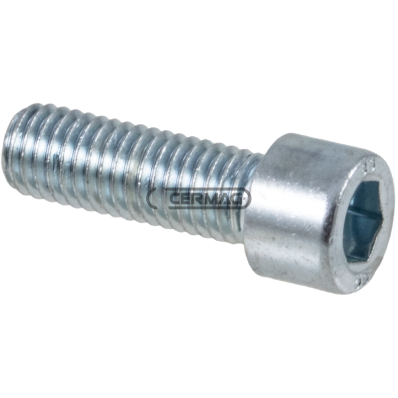 Cylinder head screw with white galvanized hex socket Thread M14x2x40 mm COMPATIBLE - 64822