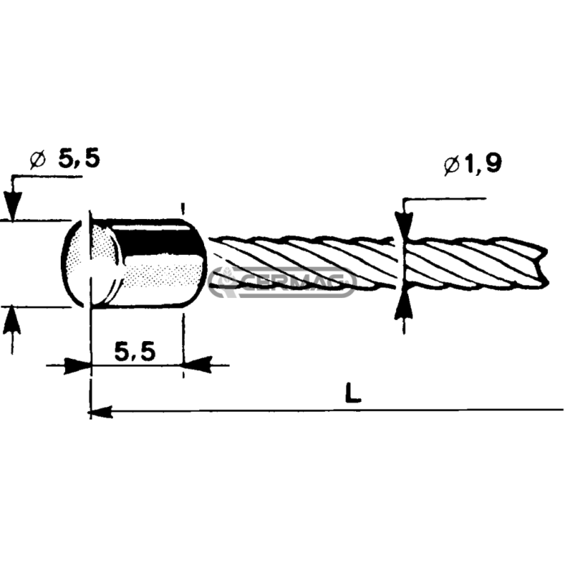 Cable with cylindrical head Ø 5.5x5.5 Cable diameter 1.9 mm Length 2500 mm COMPATIBLE - 60010