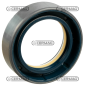 Anello paraolio Dimensioni 42x62x17 mm Tipo COMBI SF1 COMPATIBILE - 65126