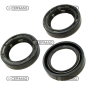Oil seal ring Dimensions 55x80x10 mm Type BASL COMPATIBLE - 64436