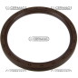 Anello paraolio Dimensioni 133.3x158.7x12.6 mm Tipo BAVISLRSX7 COMPATIBILE - 65206
