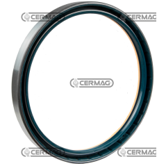 Anillo retén de aceite Dimensiones 165x190x17 mm Tipo COMPATIBLE CON COMBI - 65213 | NewgardenAgri.com