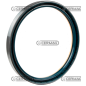 Oil seal ring Dimensions 165x190x17 mm Type COMBI COMPATIBLE - 65213