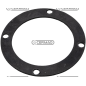 GUARNIZIONE PER ADATTARE A IRRIGATORI BATTIONI PAGANI 4” COMPATIBILE - 64719