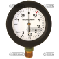 Glycerine pressure gauge Scale -1 ÷ 3 Bar 1/4" thread COMPATIBLE - 61137