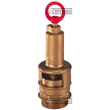 COMPATIBLE SAFETY VALVE - 61123 | NewgardenAgri.com