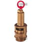 COMPATIBLE SAFETY VALVE - 61124