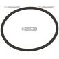 Anello OR COMPATIBILE - 61074