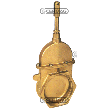 COMPATIBLE PISTON GATE VALVE - 61095 | NewgardenAgri.com