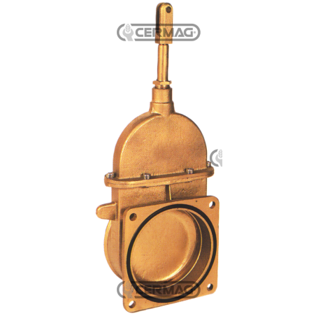 COMPATIBLE 1 FLANGE PISTON GATE VALVE - 61098 | NewgardenAgri.com