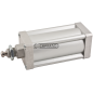 DOUBLE ACTING PNEUMATIC CYLINDER FOR OPENING AND CLOSING COMPATIBLE GATES - 61115