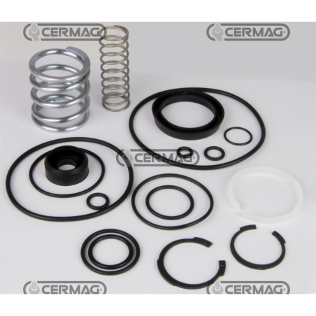 KIT DI RIPARAZIONE COMPATIBILE - 63609 | NewgardenAgri.com