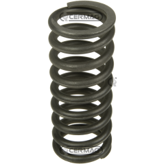 EMBRAGUE DE DIRECCIÓN FIAT, NEW HOLLAND - MUELLE EMBRAGUE DE DIRECCIÓN COMPATIBLE - 62278 | NewgardenAgri.com