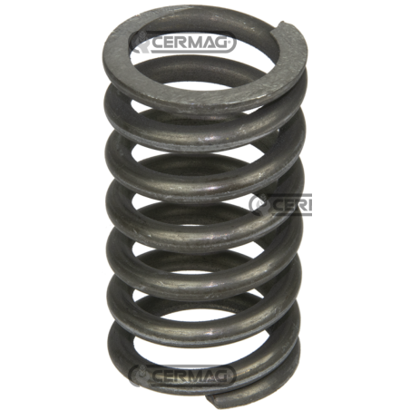 EMBRAGUE DE DIRECCIÓN FIAT, NEW HOLLAND - MUELLE EMBRAGUE DE DIRECCIÓN COMPATIBLE - 62280 | NewgardenAgri.com