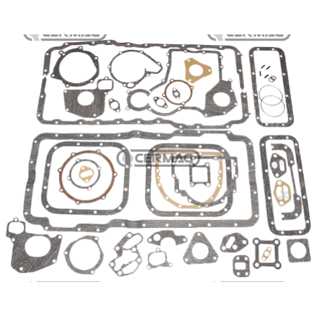 lower seal kit 6.354 COMPATIBLE - 6680019A1C | NewgardenAgri.com