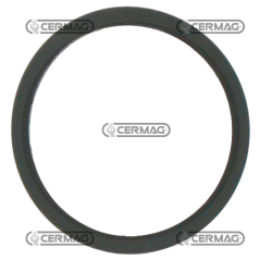 Junta válvula termostática COMPATIBLE - 4823212C | NewgardenAgri.com