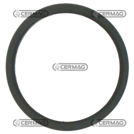 Junta válvula termostática COMPATIBLE - 4823212C | NewgardenAgri.com