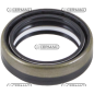 COMPATIBLE SEAL RING 45X60X17 - CA641735