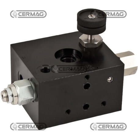 Cabezal de entrada para recortadora COMPATIBLE - 83598 | NewgardenAgri.com