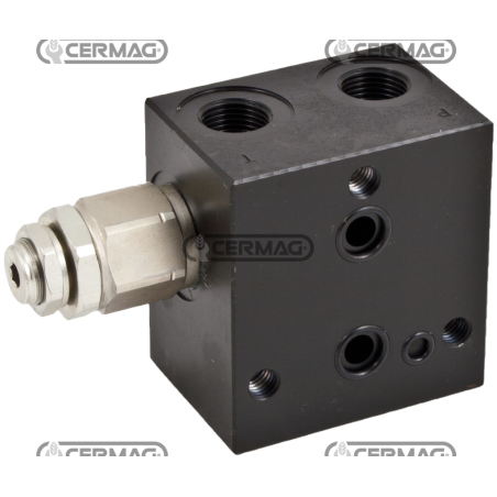 Inlet head with pressure relief valve and VEI (excluding exhaust VEI) - 80÷350 bar COMPATIBLE - 82096 | NewgardenAgri.com