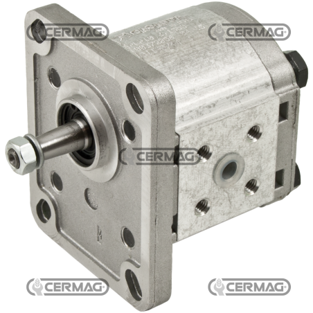 Zahnradpumpe GRUPPE 1 - PLP10 Hubraum 1 cm³ Rechtslauf KOMPATIBEL - 83665 | NewgardenAgri.com
