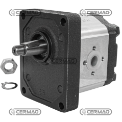 Zahnradpumpe GRUPPE 2 Kegel 1:8 Hubraum 8 cm³ Rechtslauf KOMPATIBEL - 95134 | NewgardenAgri.com