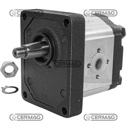 Zahnradpumpe GRUPPE 2 Kegel 1:8 Hubraum 8 cm³ Rechtslauf KOMPATIBEL - 95134 | NewgardenAgri.com