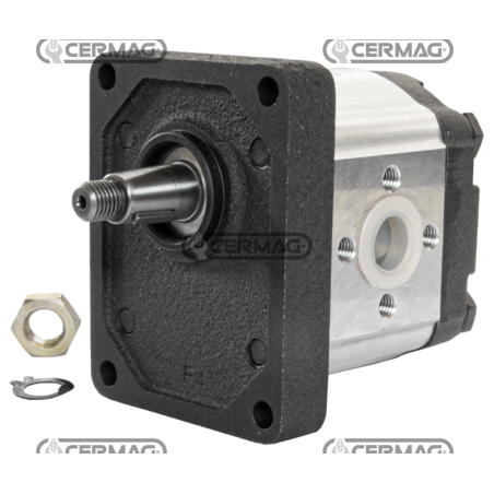 Zahnradpumpe GRUPPE 2 Kegel 1:8 Hubraum 11,2 cm³ Linkslauf KOMPATIBEL - 95135 | NewgardenAgri.com
