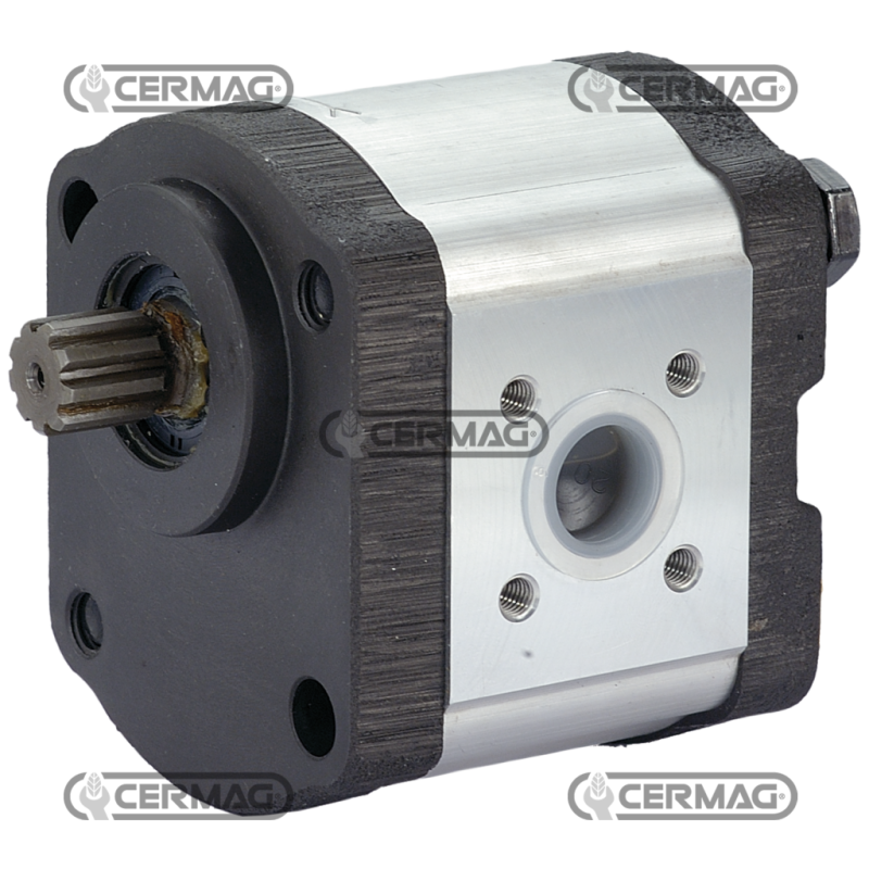 Pompa ad ingranaggi GRUPPO 2 Cilindrata 6.3 cm³ Albero 17x14 - Z.9 Rotazione Sinistra COMPATIBILE - 80999 Pompa ad ingranaggi GRUPPO 2 Cilindrata 6.3 cm³ Albero 17x14 - Z.9 Rotazione Sinistra COMPATIBILE - 80999