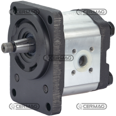 Pompa ad ingranaggi GRUPPO 2 Cilindrata 12 cm³ Conicità 1:5 Rotazione Sinistra COMPATIBILE - 83237 | NewgardenAgri.com
