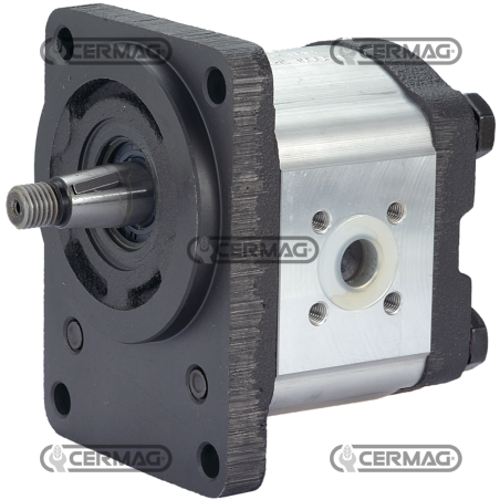 Pompa ad ingranaggi GRUPPO 2 Cilindrata 12 cm³ Conicità 1:5 Rotazione Sinistra COMPATIBILE - 83237 | NewgardenAgri.com