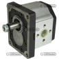 Pompe à engrenages standard GROUPE 3 Cylindrée 51 cm³ Rotation à gauche COMPATIBLE - 82183