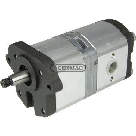 Pompe hydraulique double pour LANDINI COMPATIBLE - 84039 | NewgardenAgri.com
