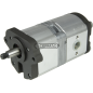 Pompe hydraulique double pour LANDINI COMPATIBLE - 84039