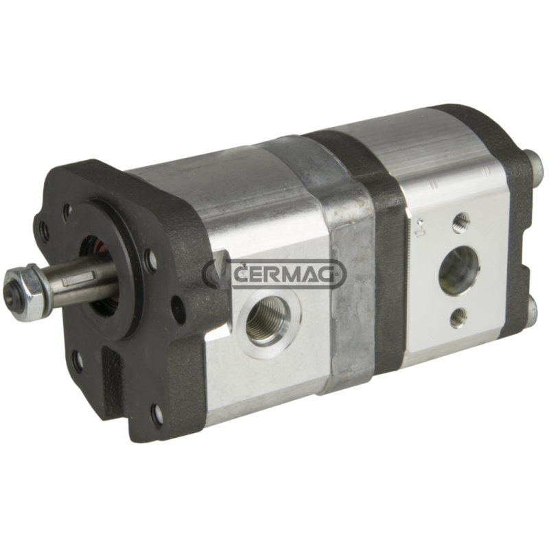Pompe hydraulique double pour LANDINI COMPATIBLE - 84044