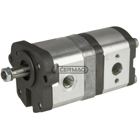 Pompe hydraulique double pour LANDINI COMPATIBLE - 84044 | NewgardenAgri.com