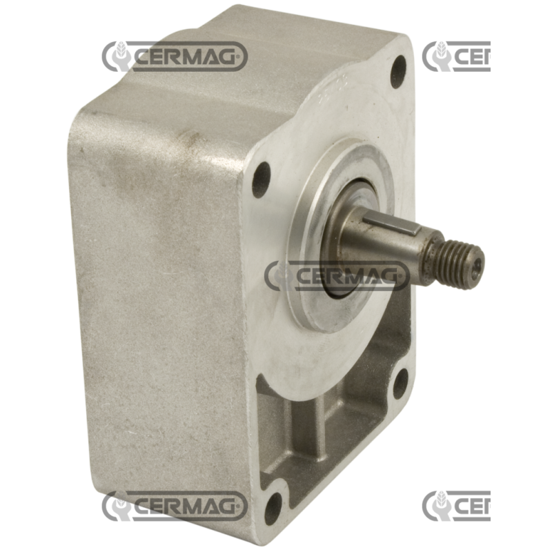 Support with standard tapered shaft for GROUP 1 COMPATIBLE pumps - 81643