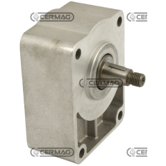 Support avec arbre conique standard pour pompes COMPATIBLE GROUPE 2 - 81013 | NewgardenAgri.com