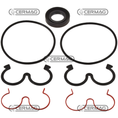 Kit guarnizioni per pompa singola COMPATIBILE - 83419 | NewgardenAgri.com